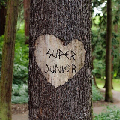 Super junior❤️