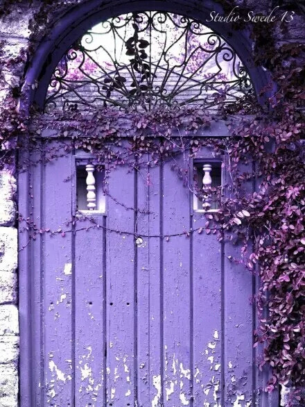 紫色，小洋房