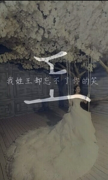 我姓王，从不悲伤彷徨