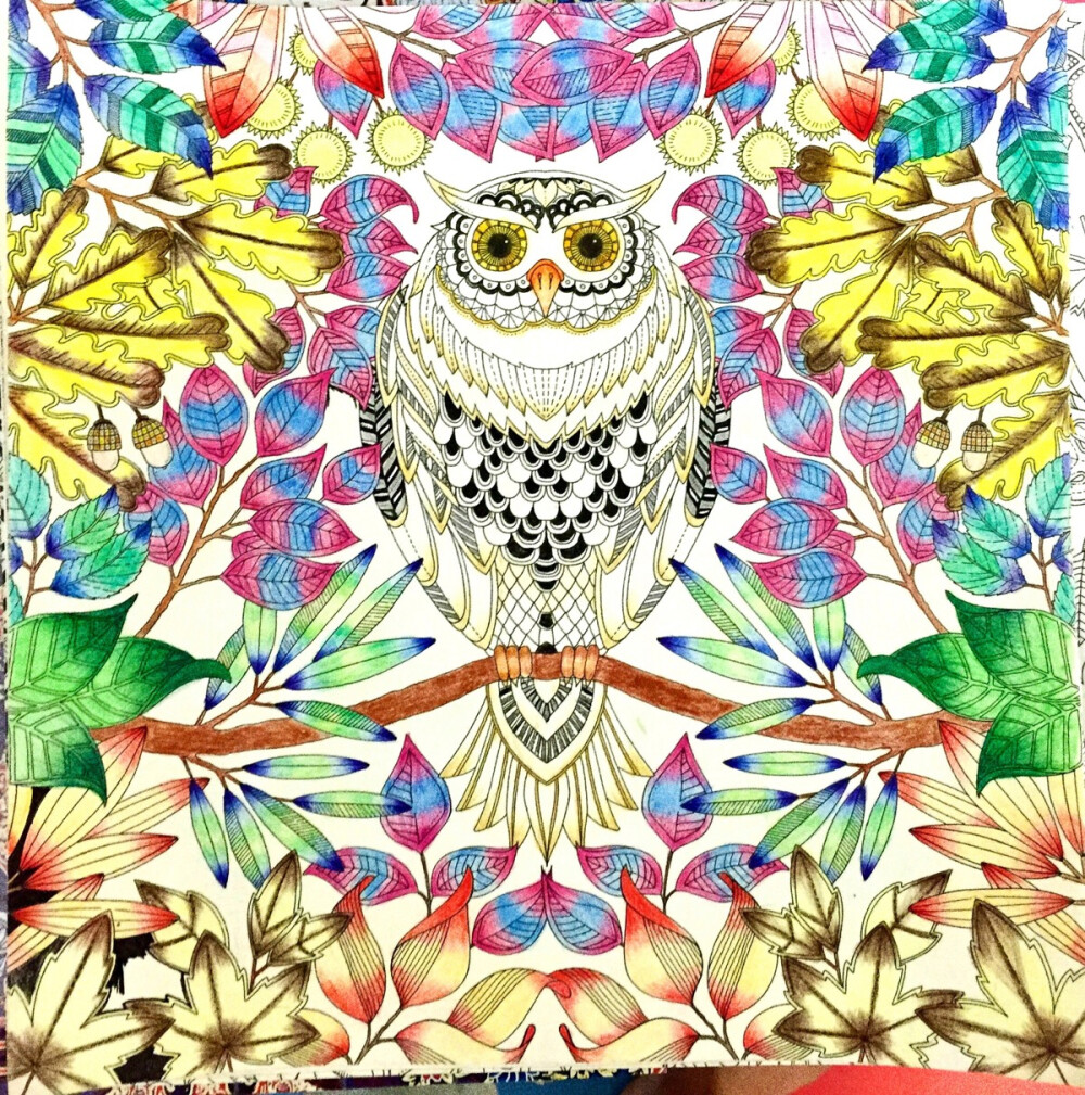 猫头鹰上色。。