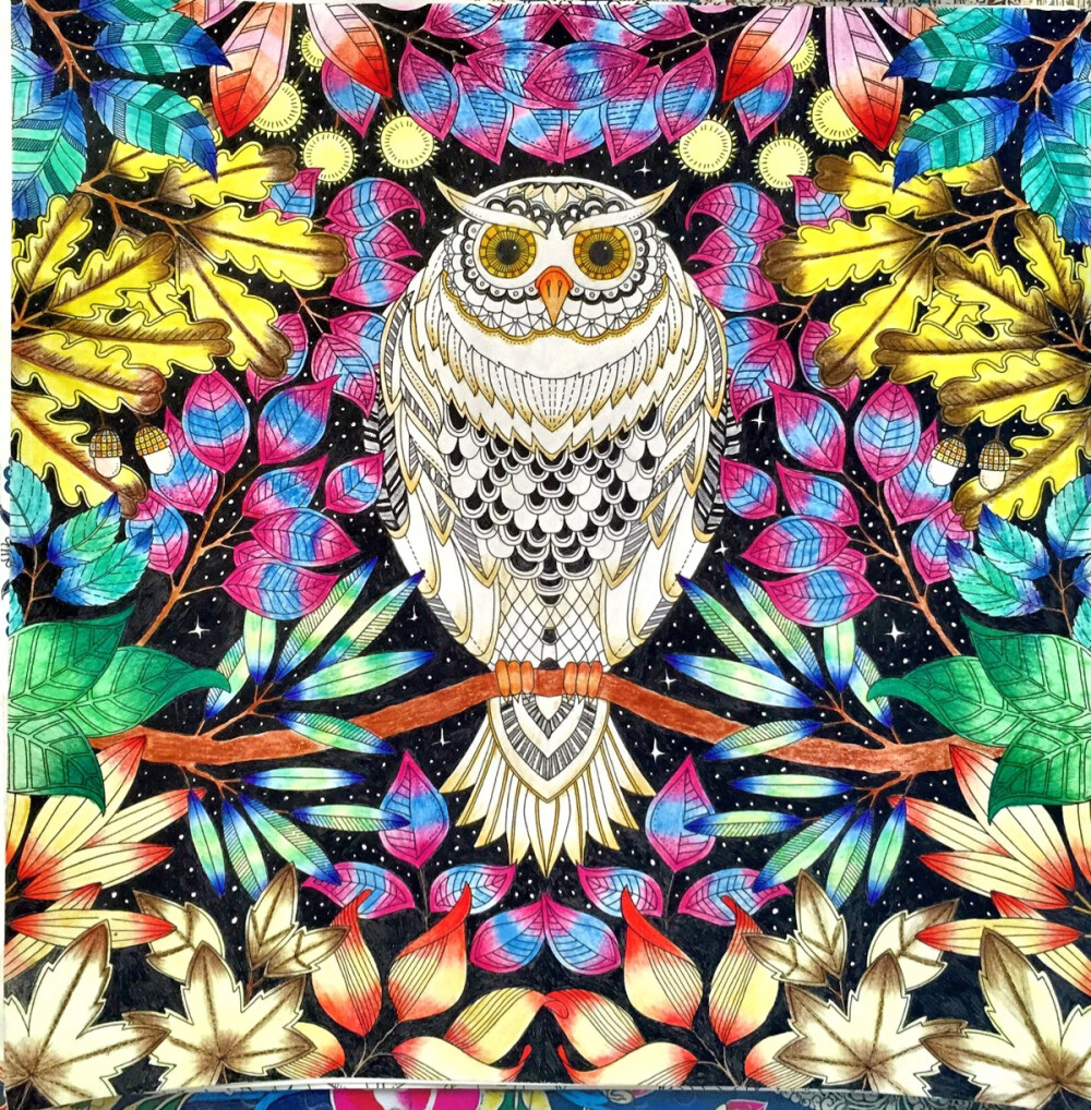 终于到北京了。。。星光点点也是画醉了