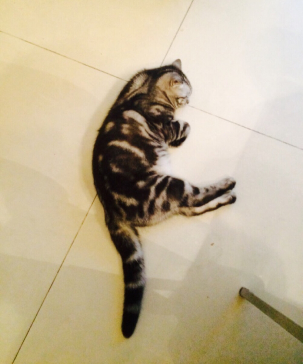 2015.7.20|继续睡姿