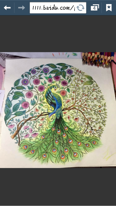 秘密花园,孔雀图.
