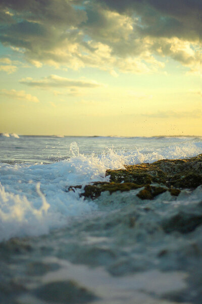 海岸