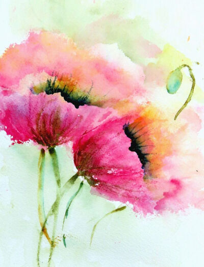 Aquarelle - Pink watercolor poppies