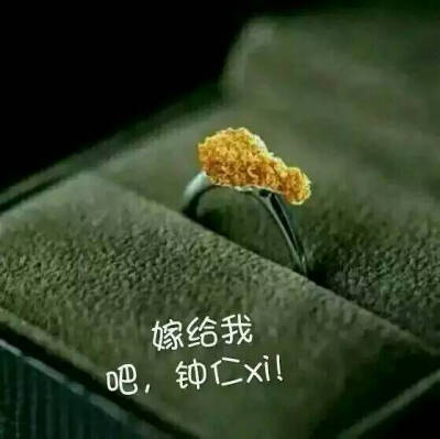 exo KAIxi 嫁给我 噗 哈哈哈哈哈哈