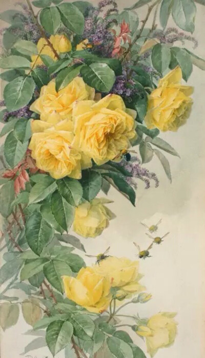 清新水彩画 手绘 植物 花卉 自然风景 清新淡雅 唯美插画