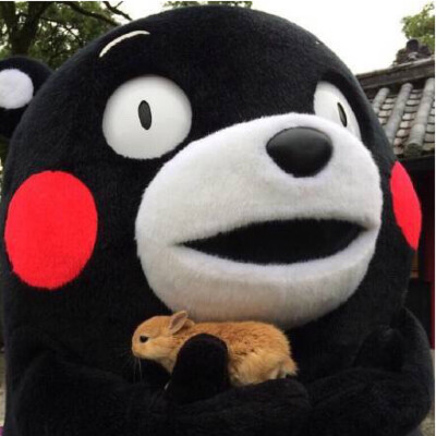 kumamon