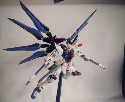 strike freedom 再改造——黄金骨架