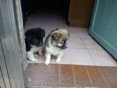 和好友四处晃~ 喜欢中山温暖的气息，也许还因为你？ 2015-06-22