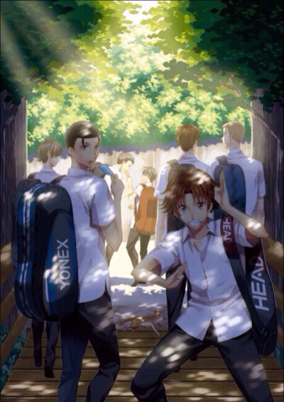 网球王子 青学 菊丸英二