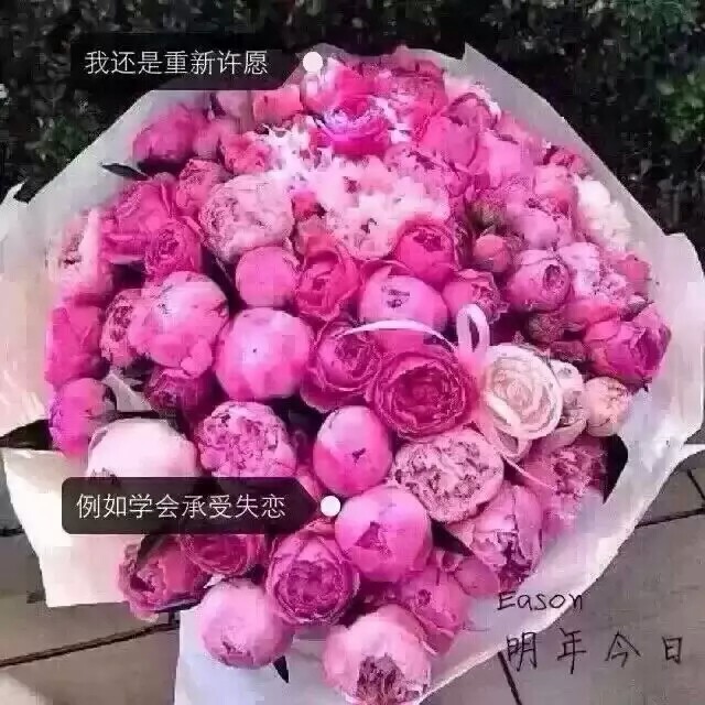 陈奕迅 歌词 明年今日 玫瑰