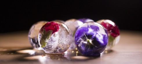  让女主大呼小叫蛋糕里变戒指的游戏，现在看来有些low！看看人家城里人才叫会玩儿，威士忌中也能喝出戒指，甚至玫瑰来了！城里人就是U-Cube设计公司，他们发明了Polar Ice Tray，那么这货是如何变魔术的呢？一般来说，冰威士忌、或者可乐等饮料里的冰块寿命短暂，一不小心就冲淡了饮品的味道，浪费了美酒，U-Cube认为那是冰块杂质过多引起的，所以他们发明Polar Ice Tray，用特殊技术剔除冰块杂质，同时让冰块（球）接触面最小，从而放缓冰块融化速度。恩，如同你看到的图片一样，冰球本身玲珑可人，如果在冰冻之前放点鲜花、戒指什么的，这样不仅颜值飙升，还能给饮用者制造小惊喜小浪漫。