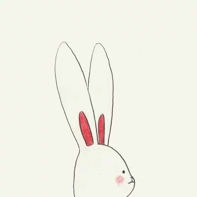 A rabbit