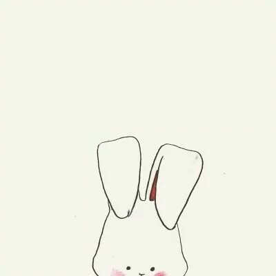 A rabbit