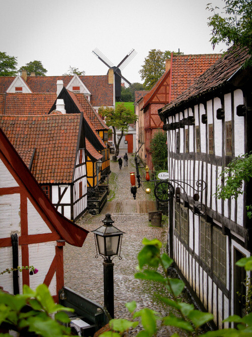 Odense,Denmark by (Mark B)。丹麦欧登塞，是该国第三大城市，也是第二大岛菲英岛的首府。欧登塞虽小，却因为是安徒生的故乡而享誉世界，除此之外，奥登塞还有另外一个文化名人：著名作曲家卡尔•尼尔森(Carl Nielsen)。 &amp;#x10;欧登塞是一个美丽迷人的城市。在通往市区的公路两旁，一座座红墙红瓦高屋顶的房子让人心驰神往。进入市区，那些典型的欧洲风格的建筑并不高大宏伟，却古朴典雅。欧登塞河象一条绿色的带子，静静地从城市中间蜿蜒流过。河的两岸有美丽的花园和植物园，花木葱茏，空气清新，使欧登塞更加美丽。