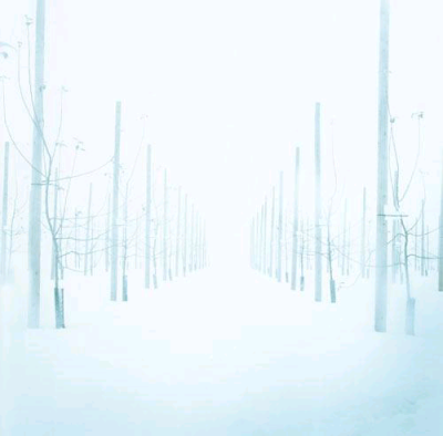 【组】白日梦蓝 作者 Makanai Hitoshi 送给喜欢蓝色的 你