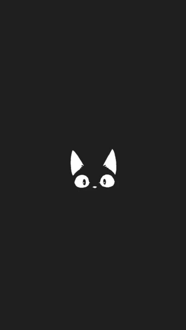 黑猫高清手机壁纸背景 堆糖 美图壁纸兴趣社区