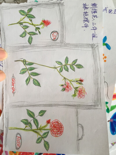 秘密花园周边，成人彩铅填色涂鸦解压图画