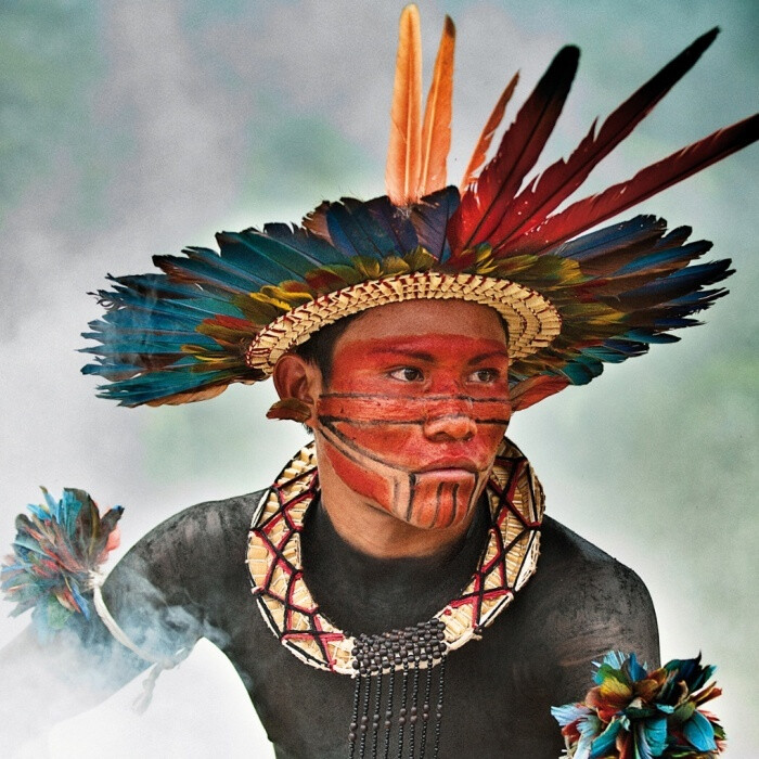 在巴西,共有240个部落,总计90万人,占总人口的04%