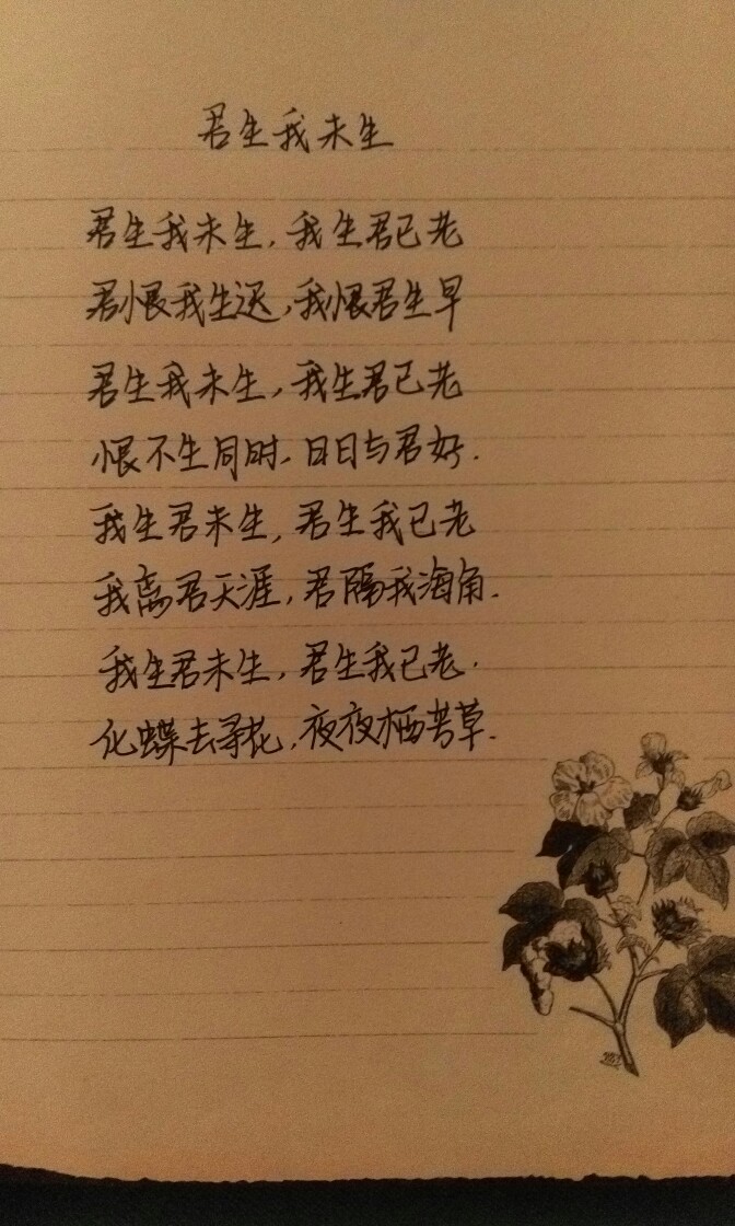 每天一练