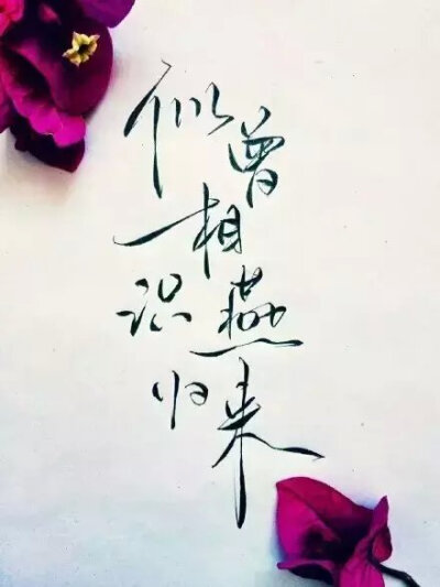 古风文字