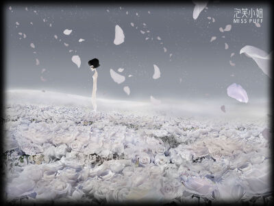 泡芙小姐 壁纸 头像 可爱