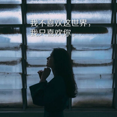 我不喜欢这世界，我只喜欢你
