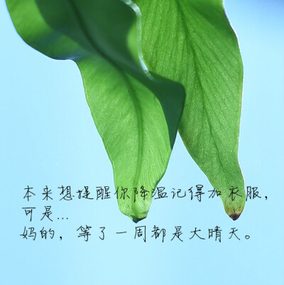 本来想提醒你降温记得加衣服。可是...妈的，等了一周都是大晴天。———《我不喜欢这世界，我喜欢你》 图片来自 @摄影师小茶