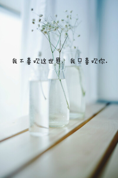 我不喜欢这世界，我只喜欢你。———《我不喜欢这世界，我喜欢你》 图片来自 @瓦蓝的猫