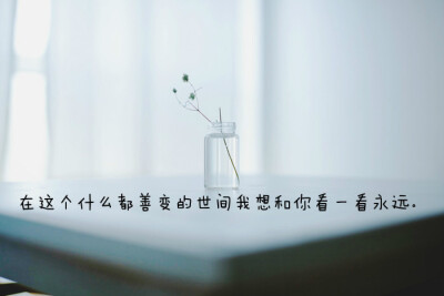 在这个什么都善变的世间我想和你看一看永远。———《我不喜欢这世界，我喜欢你》 图片来自 @瓦蓝的猫