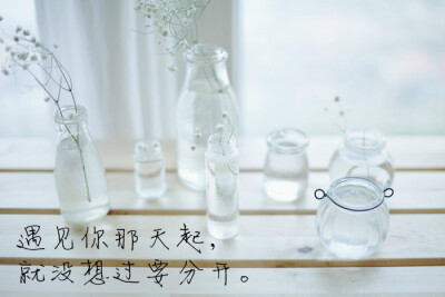 遇见你那天起，就没想过要分开。———《我不喜欢这世界，我喜欢你》 图片来自 @瓦蓝的猫