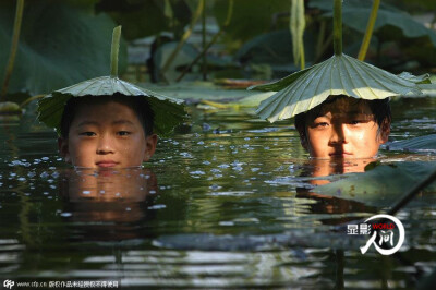 炎炎夏日，面对持续走高的气温，人们各出奇招纳凉避暑，无形中给高温生活增添了一丝趣味。安徽芜湖，面对酷热的天气，两个调皮的孩子在池塘里避暑。