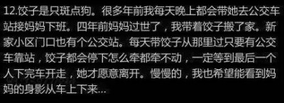 有关狗狗感人故事