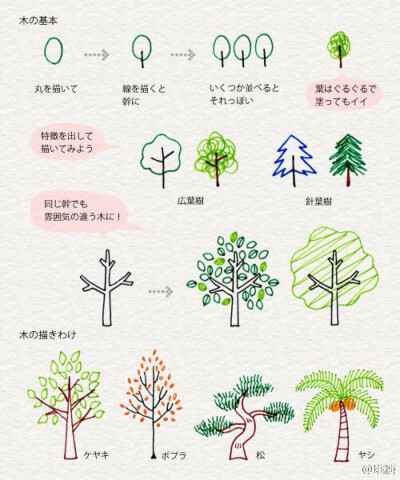 简单树木画法