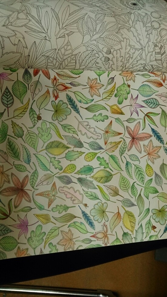 秘密花园树叶涂色作品图片