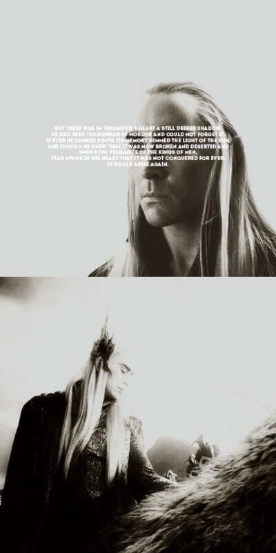 Thranduil 瑟林杜伊