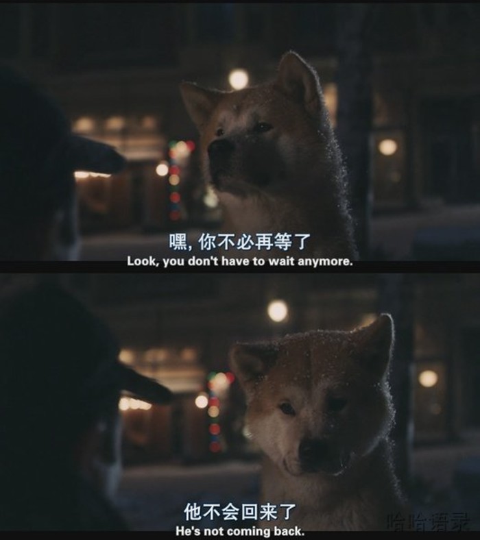 #忠犬八公#等待，是最漫长的告白