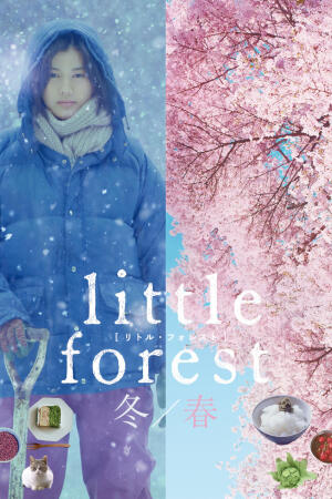 little forest    精 净 静