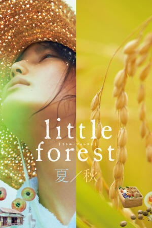 little forest 精 净 静