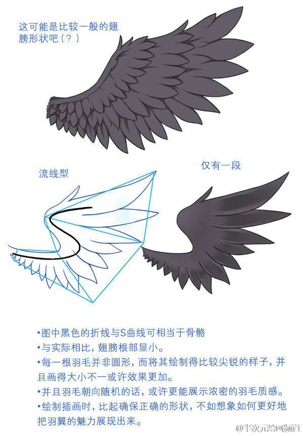 翅膀画法