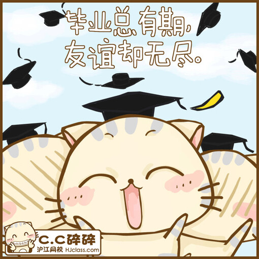 Cc猫