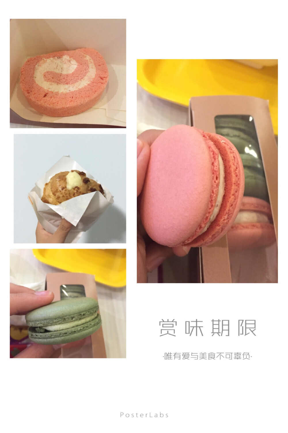 macaron&amp;amp;泡芙&amp;amp;瑞士卷