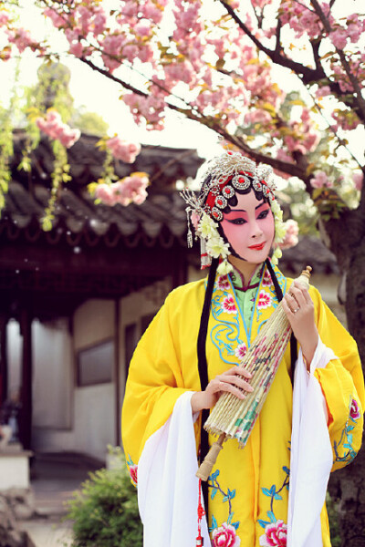 听雪楼中听雪落，彼岸花开彼岸零。