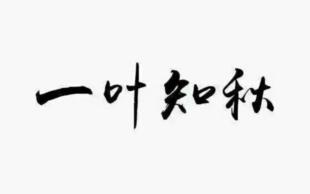 一叶知秋