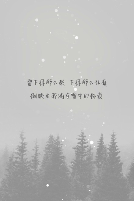 《认真的雪》薛之谦