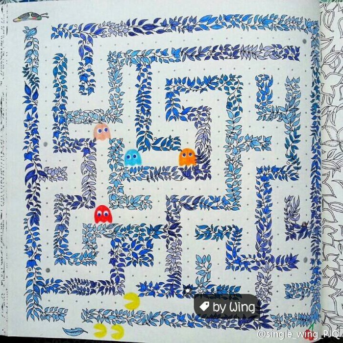 秘密花园大神作品。