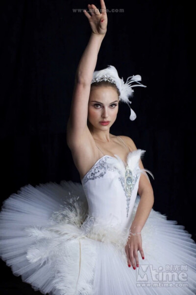 white swan