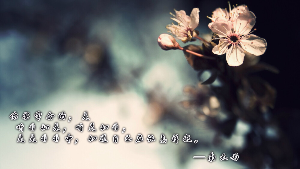 南无为原创文字