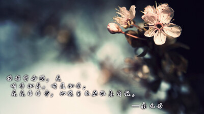 南无为原创文字